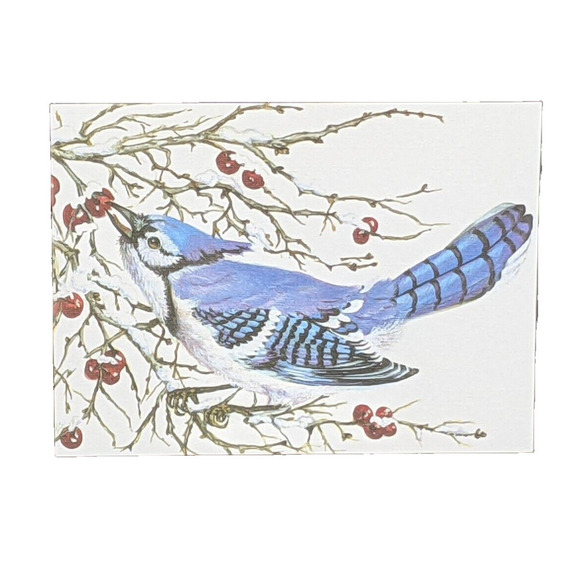 Wild Bird Notecards Blank LOT OF 13 Some Duplicates 4.25 x 5.5" White Envelopes - Picture 2 of 11